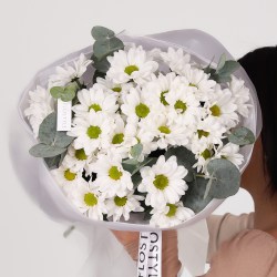 hrizantema romashka 2 zoom18